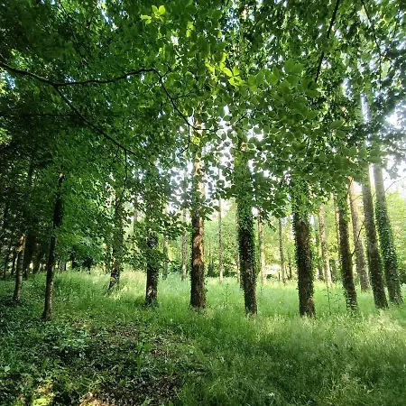 Le Moulin De Benneville D'hotes, Petit Dejeuner Compris Frühstückspension Cahagnes