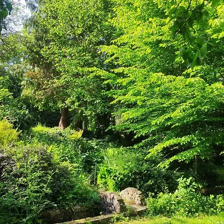 Frühstückspension Le Moulin De Benneville D'hotes, Petit Dejeuner Compris