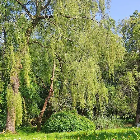 Le Moulin De Benneville D'hotes, Petit Dejeuner Compris Bed & Breakfast