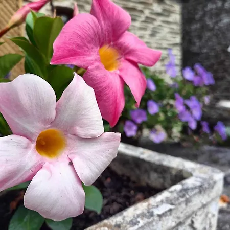 Le Moulin De Benneville D'hotes, Petit Dejeuner Compris 3*