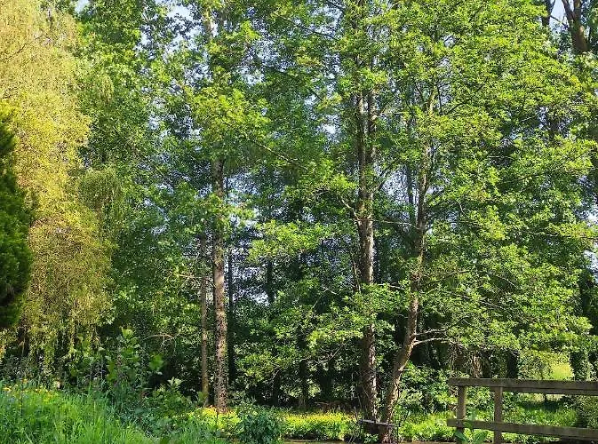 Le Moulin De Benneville D'hotes, Petit Dejeuner Compris 3*