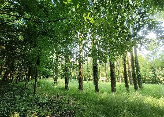 Le Moulin De Benneville D'hotes, Petit Dejeuner Compris B&B Cahagnes