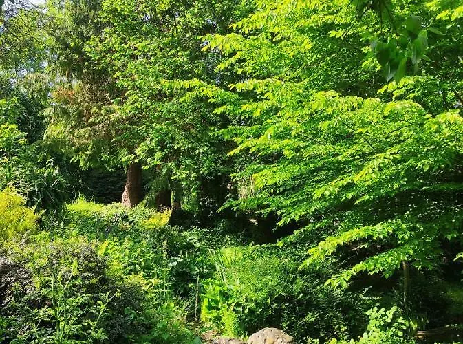 B&B Le Moulin De Benneville D'hotes, Petit Dejeuner Compris