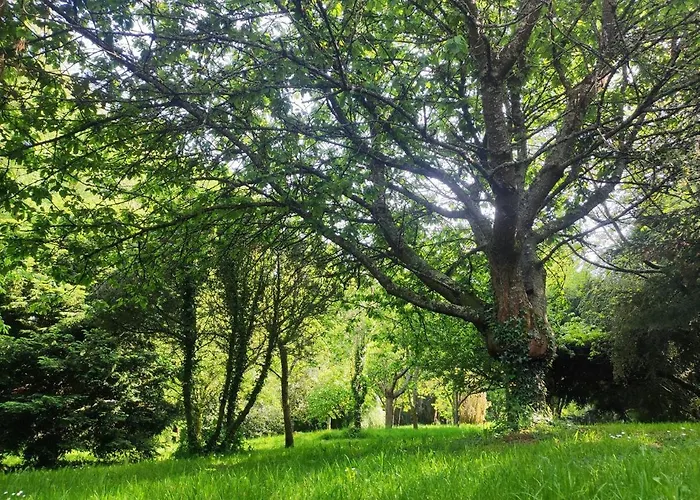 Le Moulin De Benneville D'hotes, Petit Dejeuner Compris