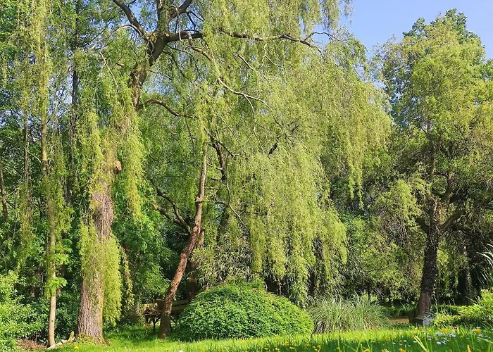 Le Moulin De Benneville D'hotes, Petit Dejeuner Compris B&B