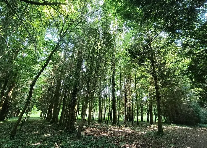 Le Moulin De Benneville D'hotes, Petit Dejeuner Compris B&B 3*