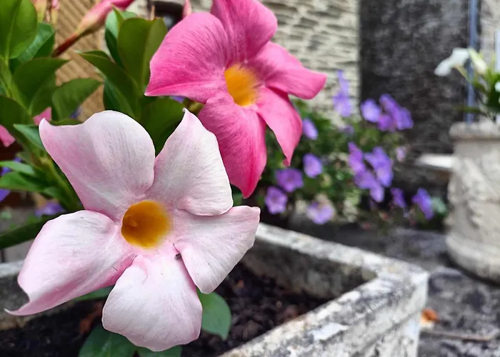 Le Moulin De Benneville D'hotes, Petit Dejeuner Compris 3*